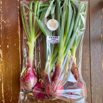 【期間限定】葉付き新赤玉ねぎ2kg10個程度 農薬・化学肥料不使用 赤2kg 野菜/玉ねぎ通販