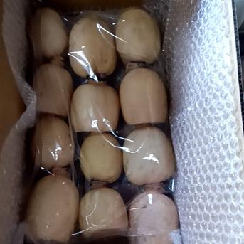 お得用2㌔・クール】RENCOOONのれんこん！ ｜ 野菜/蓮根 産直アウル