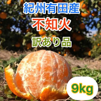 訳あり　(デコポン不知火)箱込み9キロ Amazon.co.jp: 不知火 訳あり 箱込10キロ（9kg＋保証分500g