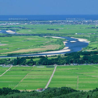 自然栽培 お米の旨味たっぷり氷温熟成 ひとめぼれ 令和2年産 山形県産 庄内産 庄内米 玄米25kg(正味24.6kg) 24.6kg 米・穀物/玄米通販