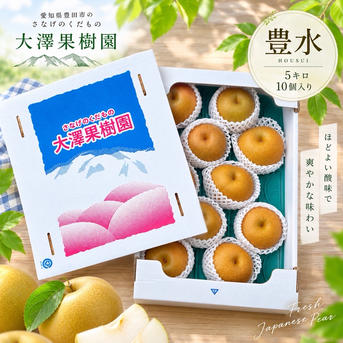 豊水梨 10個 大玉 秀品 5キロ箱 ｜ 果物/梨 産直アウル 農家・漁師など