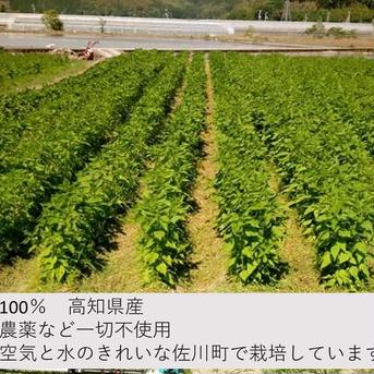高知県産 菊芋チップス200g(50g×4袋) 送料無料 200g 野菜/野菜の加工品通販
