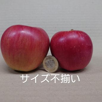 長野県 五輪久保産 シナノスイート 自家用小玉バラ詰め 2.7kg 果物/りんご通販