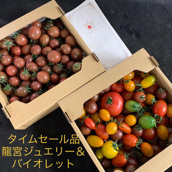 龍宮ジュエリー＆バイオレット 2キロ 野菜/トマト通販