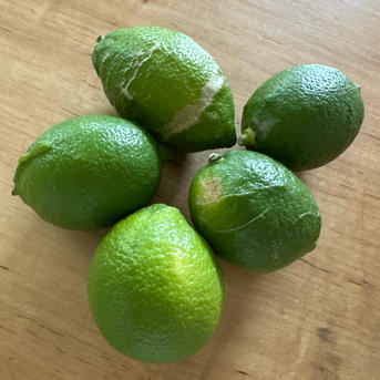 無農薬レモン 加工用10kg ※北海道、東北、沖縄への発送不可 lemon2021-1.jpg