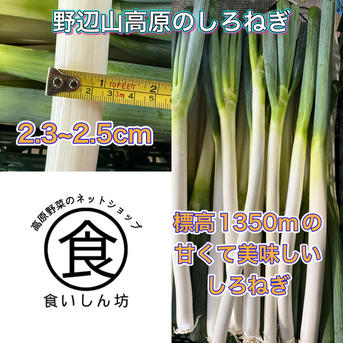 長野県産] 泥、根無し 美味しい長ネギ ｜ 野菜/ねぎ 産直アウル 農家