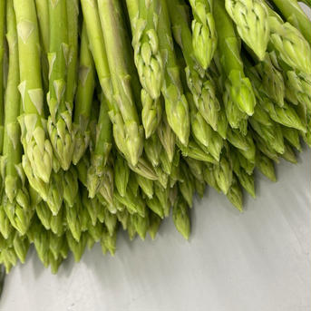 さぬきのめざめ　細パラ（夏目） １ｋｇ 野菜/アスパラガス通販