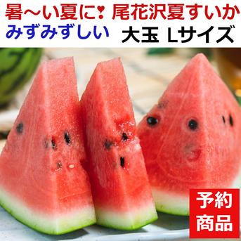 【予約受付】甘～い尾花沢大玉すいか(羅王ザ・スウィート) Lⅹ1玉 山形県産【旬祭限定】 甘～くおいしい尾花沢大玉すいか Ｌサイズ  1玉 果物/スイカ通販