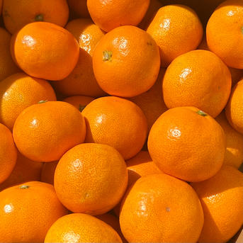 厳選選果の小玉 翔ぶ美味さ！甘熟品 有田みかん 有田市 産地直送 10KG