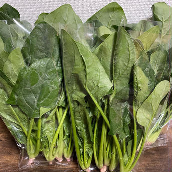 ほうれん草1.2キロ箱！ 1.2キログラム！ 野菜/ほうれん草通販