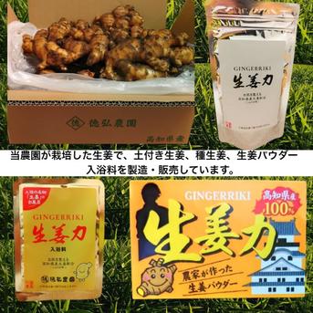 生姜力GINGER RiKi 40g　高知県産　農家が作った　生姜パウダー　お試しサイズ 40g 野菜/野菜の加工品通販