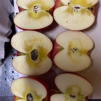 2箱分すぐ発送！10キロ樹上完熟葉取らずサンふじ訳あり10キロ32-46 蜜