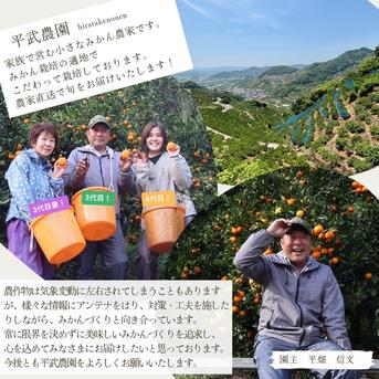 農家直送！なつみオレンジ 訳あり10kg≪サイズ混合≫ ～蛍飛ぶ町から旬