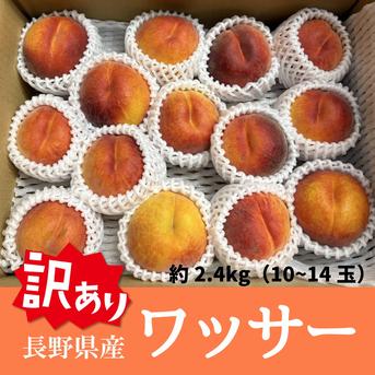 早生ワッサー家庭用10キロ ⑩早生ワッサー家庭用10キロ