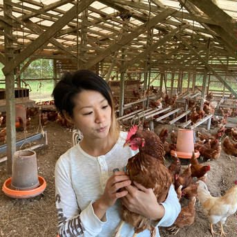 【種子島産】安納芋の甘みがギュ‼️〈夢まるの鳥刺し〉200g×4パック 200g×4パック 肉/鶏肉通販
