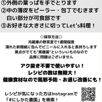 かながわブランド 大磯マコモ(1kg 8本程度)【栽培期間中農薬不使用】 1kg 野菜/その他野菜通販