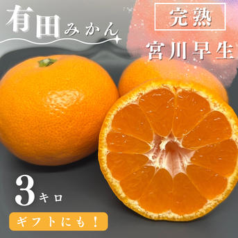 完熟】有田みかん 3キロLサイズ ギフトにも！ 温州みかん 宮川早生