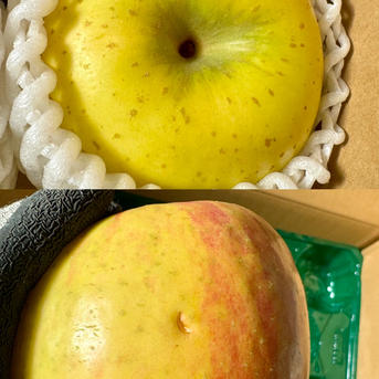 りんご詰め合わせセット | 果物/りんご 産直アウル 農家から直接野菜