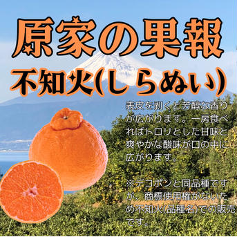 原家の果報　不知火 ３キロ 果物/オレンジ・その他みかん通販