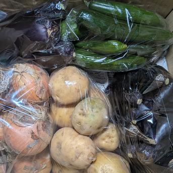 すももと野菜のセット すもも1.6kg、タマネギ1.4kg、ジャガイモ1.3kg、ナス1.3kg、キュウリ1kg、トマト700ｇ、ピーマン300ｇ、シシトウ300ｇの詰め合わせです。 野菜/野菜セット・詰め合わせ通販