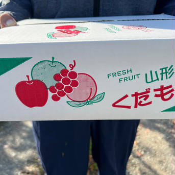 増量しました❗️こだわりラ・フランスMサイズ12個入り Mサイズ12個入り 果物/梨通販