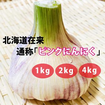 北海道在来　通称「ピンクにんにく」(R6・札幌産)0.5kg 0.5kg 野菜/にんにく通販