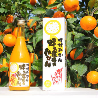 蜂久農園のみかんがっつりしぼったでぇ【お中元】 720ml 飲料/ジュース通販