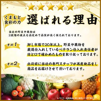 【選果落ち 訳あり商品】 国産 熊本県産 九州産 ぶどう 詰め合わせ 1パック 合計 約600g 【003】クール冷蔵 規格外 家庭用 贈答不可 加工用  果物  熊本 福岡 葡萄 ブドウ フルーツ 青ブドウ  黒ぶどう 品種おまかせ  1パック 合計 約600g  果物/ぶどう通販