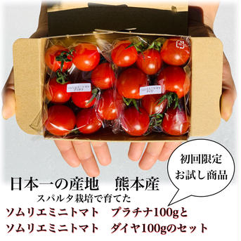 ⑧送料込み【初回限定お試し】ソムリエミニトマト　プラチナ100gとダイヤ100gの食べ比べセット 200g 野菜/トマト通販