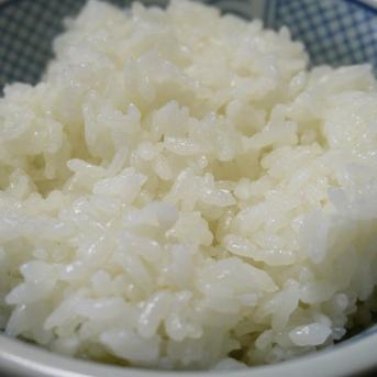 新米　令和5年長野県東御市産風さやか　白米　10kg 10kg(5kg×2) 米・穀物/米/精米通販