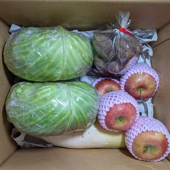 食材ボックス6.3kg 約6.3kg 野菜/野菜セット・詰め合わせ通販