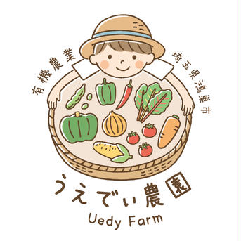 【飲食店向け】土付き赤エシャレット1kg 農薬・化学肥料不使用【鮮度保持】 赤1kg 野菜/その他野菜通販