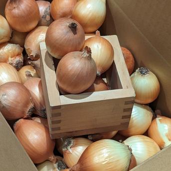 【ペコロス】やさしい風の農薬不使用有機栽培 小玉ねぎ 約2キロ 野菜/玉ねぎ通販