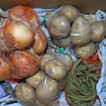 桃と野菜のセット 1.3kg、すもも1.2kg、トマト700g、玉ねぎ1.5kg、ジャガイモ2kg、インゲン200gの詰め合わせです。 野菜/野菜セット・詰め合わせ通販