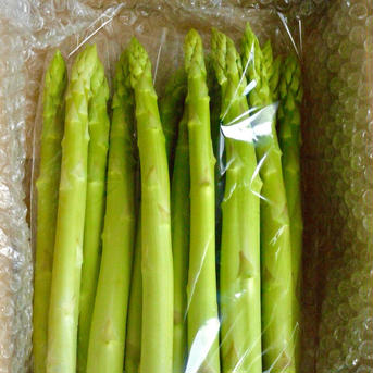 化学肥料・化学農薬不使用！アスパラガス２Ｌ アスパラガス　２Ｌサイズ 野菜/その他野菜通販
