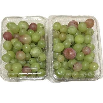 こだわりの種あり】2色粒々ぶどう（シャイン＆クイーンニーナ） 1.5kg 