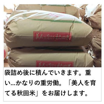 玄米（約3.5kg）秋田のあきたこまち【令和7年産】 | 米・穀物/玄米
