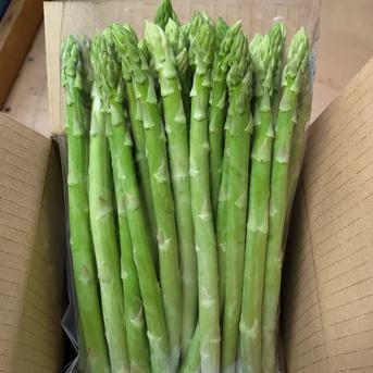 【朝採】 アスパラガス B品L~2Lサイズ 2kg 【収穫当日発送】 2kg 野菜/アスパラガス通販