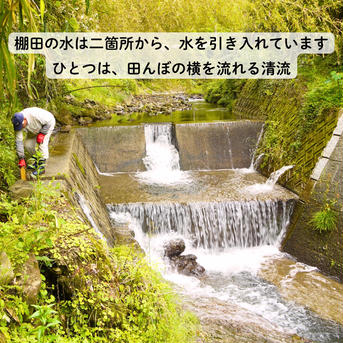 【令和７年米予約/特別栽培米】ひとめぼれ5㎏ 棚田米 10kg 米・穀物/米/精米通販
