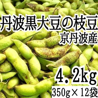 10/25頃発送  丹波黒大豆の枝豆 350g×12袋さやのみ 4.2kg　黒豆　枝豆 　京丹波産　黒枝豆　えだまめ 枝豆350g×12袋 計4.2kg 野菜/枝豆通販