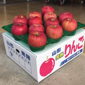 紅花ふじ12玉5kg 5.5kg 果物/りんご通販