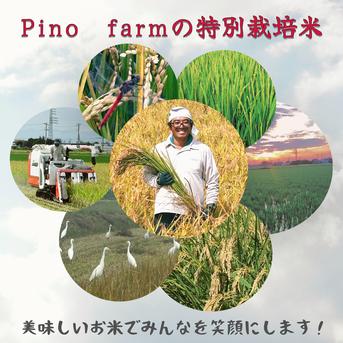 R7年産特別栽培米 ミルキークイーン（玄米） 20kg ｜ 米・穀物/玄米