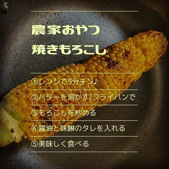 【ラス5】こだわり栽培🌽おおもの✨ 5kg(10〜12本) 野菜/とうもろこし通販