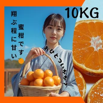 翔ぶ美味さ！甘熟品 有田みかん 有田市 産地直送 10KG ｜ 果物/温州 