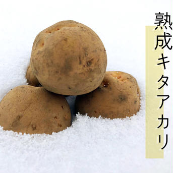 氷温熟成キタアカリ Mサイズ 10kg【送料込】 10kg 野菜/じゃがいも通販