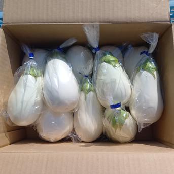 白茄子【とろーり旨なす】3kg ｜ 野菜/茄子 産直アウル 農家・漁師など