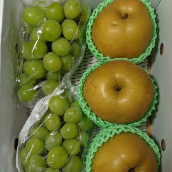 ぶどうと梨の詰め合わせ2.3kg 2.3kg 果物/果物セット・詰め合わせ通販