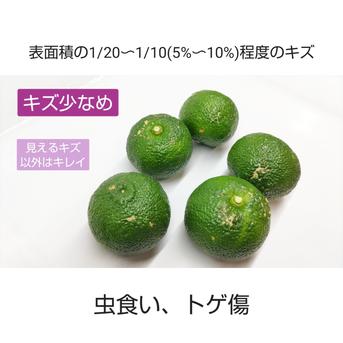宮崎県 西米良の青ゆず キズ少なめ 約5kg | 果物/香酸柑橘