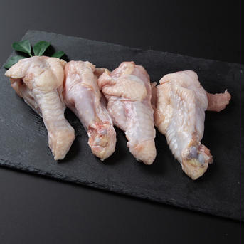 【冷凍】鹿野地鶏　手羽先500g×2手羽元500g×2（2kセット） 2k 肉/鶏肉通販