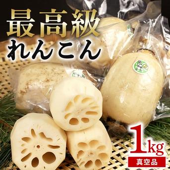 BIGれんこん珠美® 真空1kg ｜ 野菜/蓮根 産直アウル 農家・漁師など